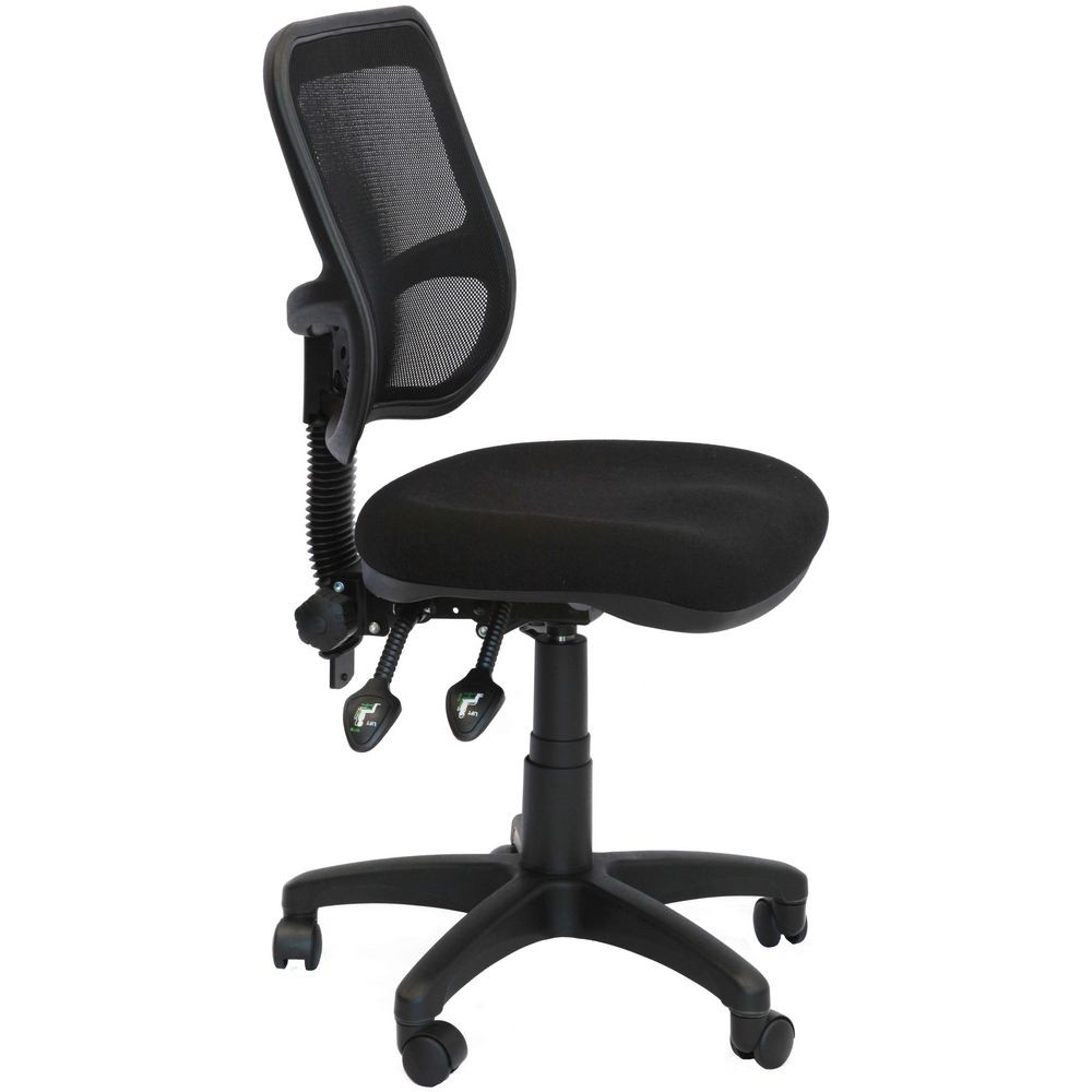 EM300 Desk Chair with Mesh back