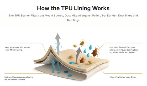 Mattress Protector - Bedbug Waterproof encasement BLACK